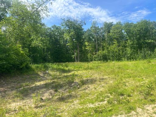 27536 Norway Trail, Randall, MN 56475