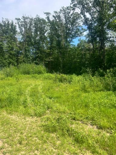 27536 Norway Trail, Randall, MN 56475