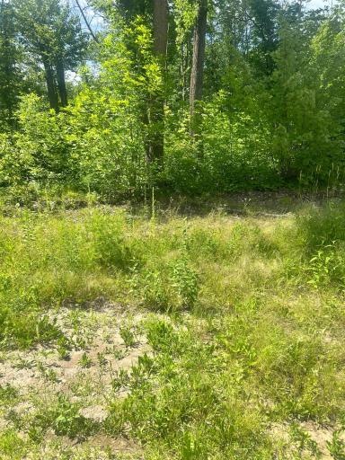 27536 Norway Trail, Randall, MN 56475