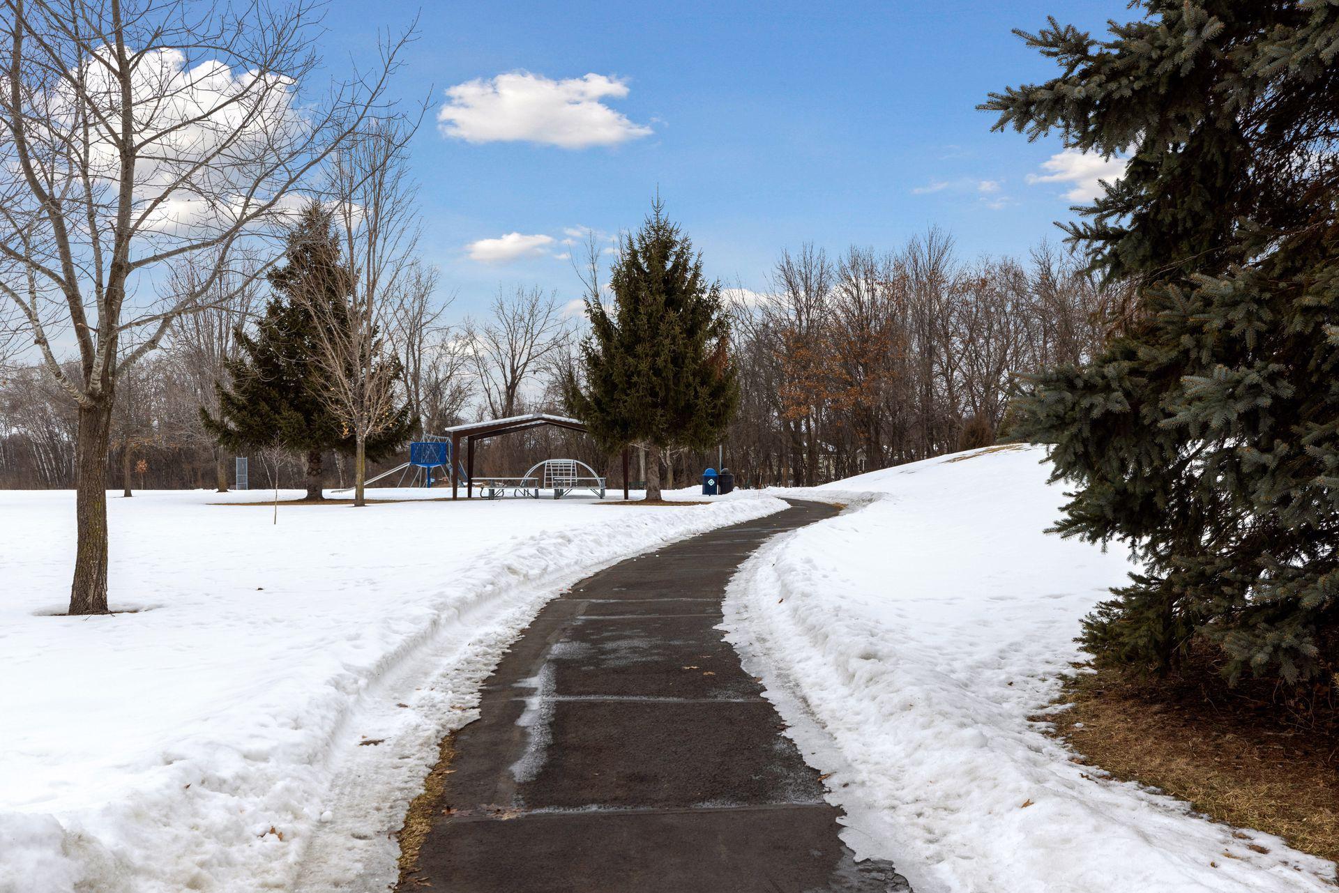 Trails in Park Across the Street