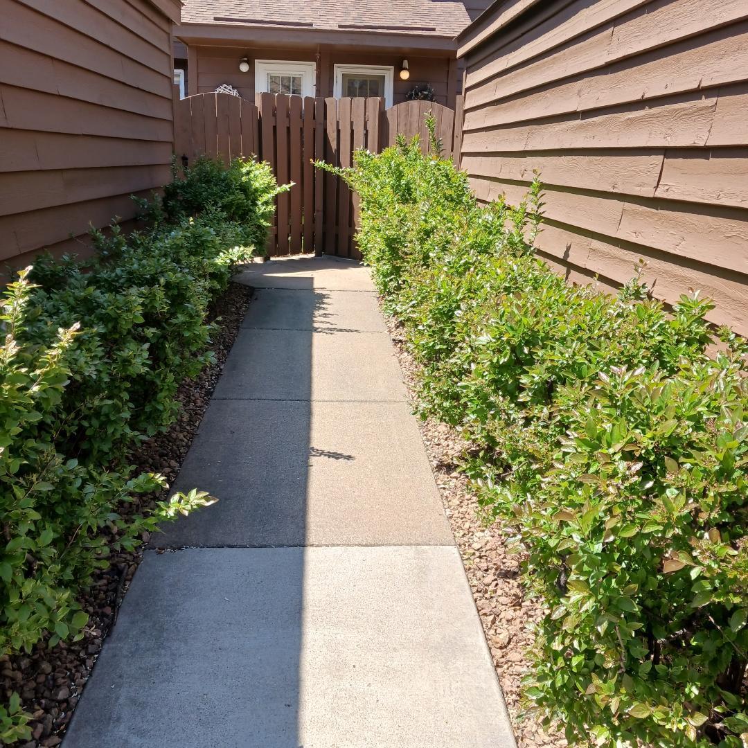 Back entrance.jpg