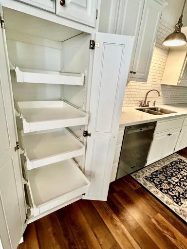Pull out pantry shelves in kitchen