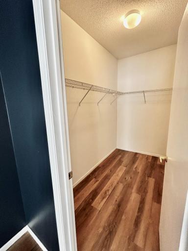 Walk in closet in main bedroom