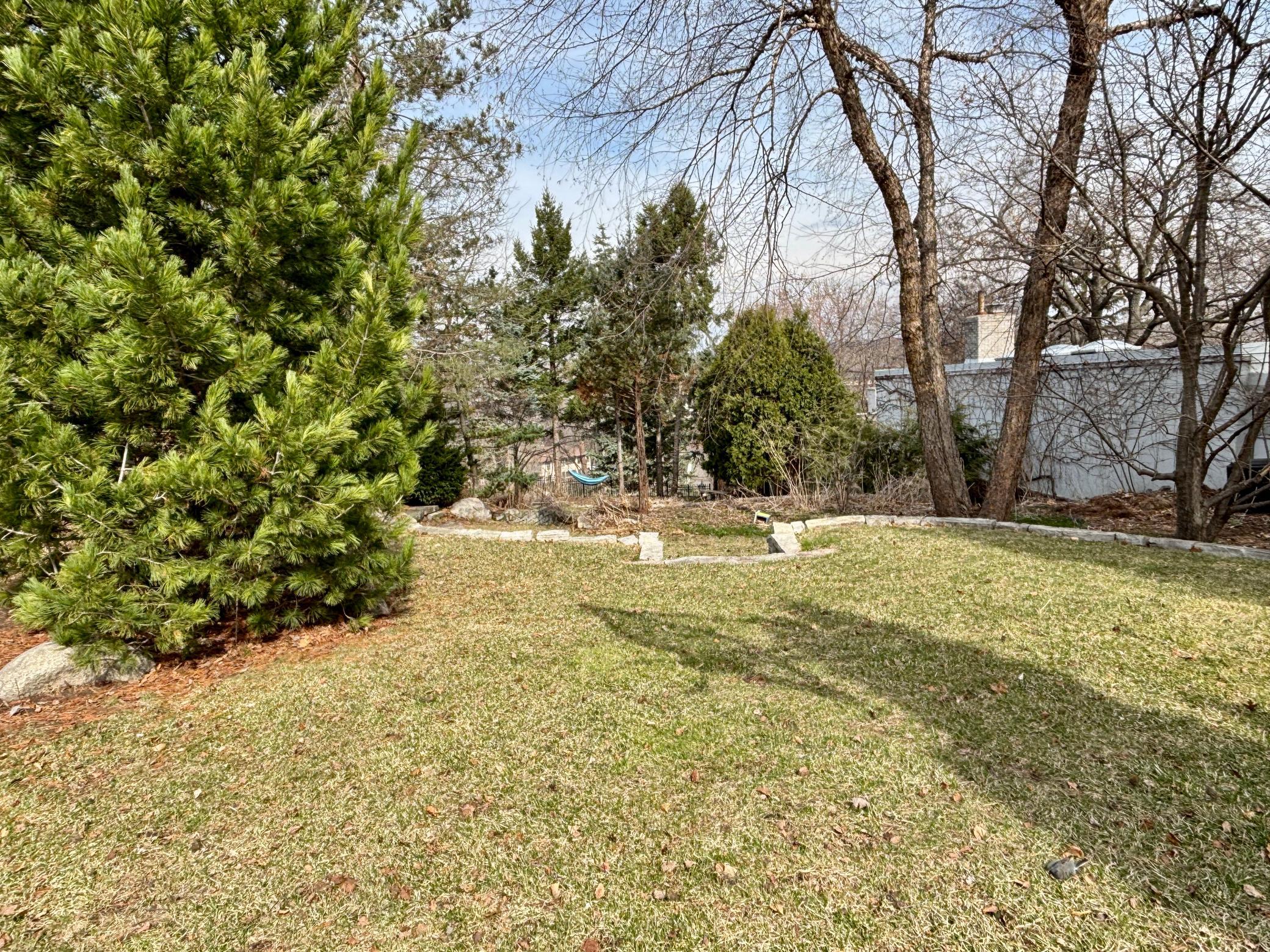 Backyardv in early spring