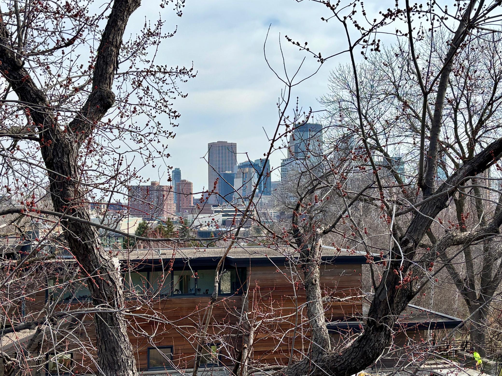 Stunning skyline views
