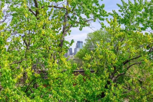 1014 Mount Curve Avenue, Minneapolis, MN 55403