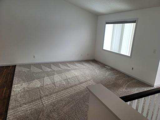New Carpet and Paint!! Look at all that natural light!!! Wow!