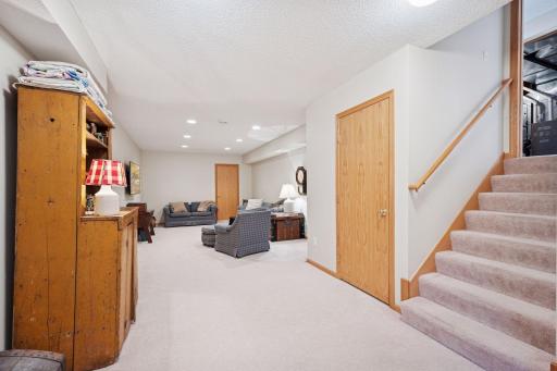Extended lower level family room with two walk-in closets for storage and plus a storage room!