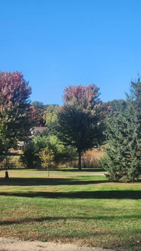 Walking trails throughout the neighborhood. This one is just steps out the front door and to the left. The trail system leads throughout STMA and other park trail systems. Check it out!