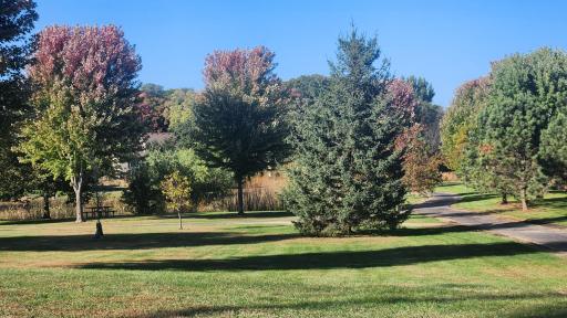 Walking trails throughout the neighborhood. This one is just steps out the front door and to the left. The trail system leads throughout STMA and other park trail systems. Check it out!