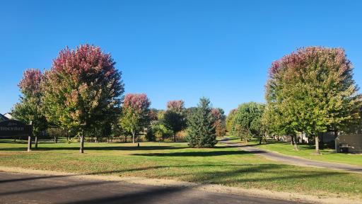 Walking trails throughout the neighborhood. This one is just steps out the front door and to the left. The trail system leads throughout STMA and other park trail systems. Check it out!