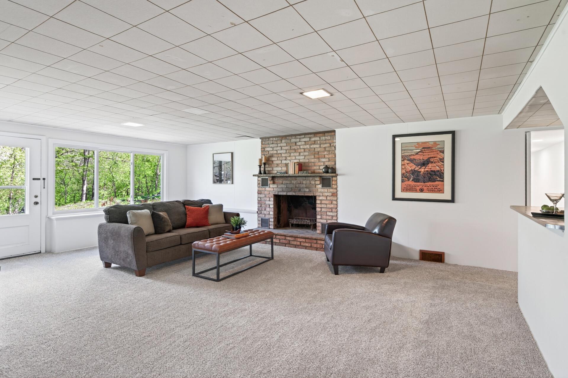 Lower level walkout has a spacious family room (all carpet in lower level is brand new & has fresh paint)