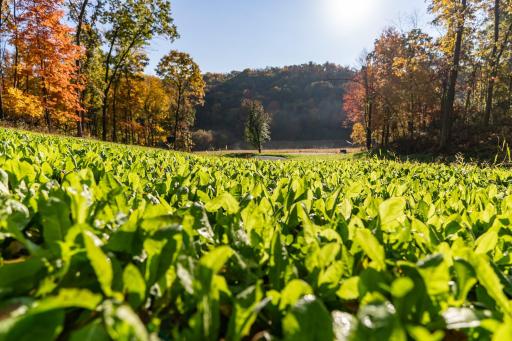 S849 County Road F, Nelson, WI 54756
