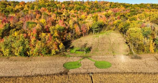 S849 County Road F, Nelson, WI 54756