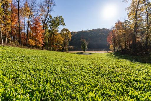 S849 County Road F, Nelson, WI 54756
