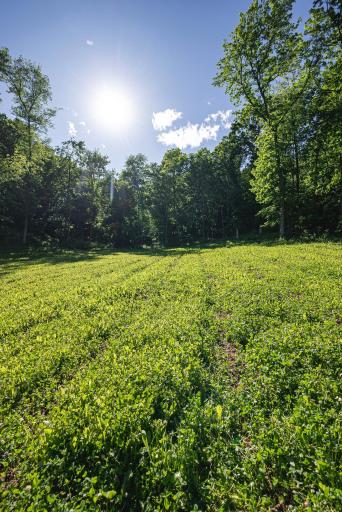 S849 County Road F, Nelson, WI 54756