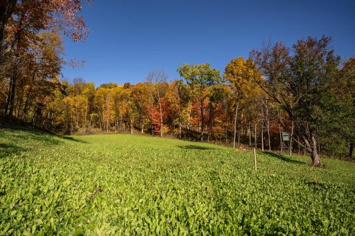 S849 County Road F, Nelson, WI 54756