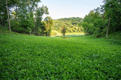 S849 County Road F, Nelson, WI 54756