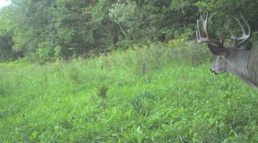 S849 County Road F, Nelson, WI 54756