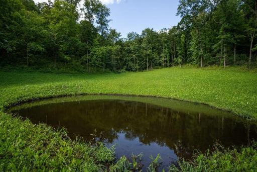 S849 County Road F, Nelson, WI 54756