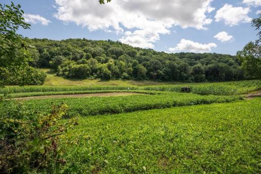 S849 County Road F, Nelson, WI 54756