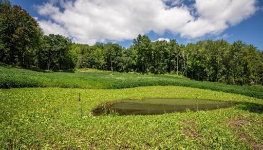 S849 County Road F, Nelson, WI 54756