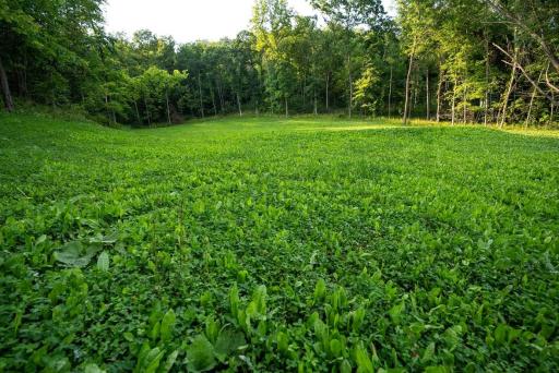 S849 County Road F, Nelson, WI 54756