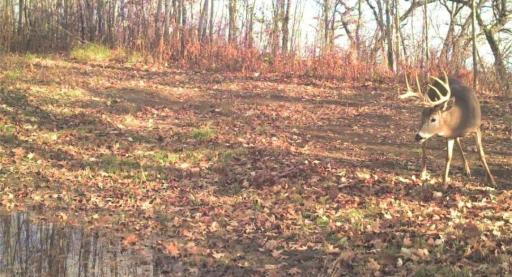 S849 County Road F, Nelson, WI 54756
