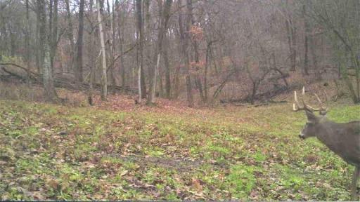 S849 County Road F, Nelson, WI 54756