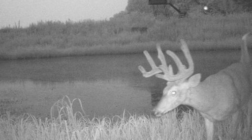 S849 County Road F, Nelson, WI 54756