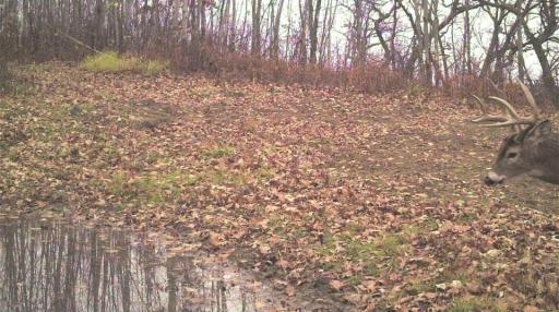 S849 County Road F, Nelson, WI 54756