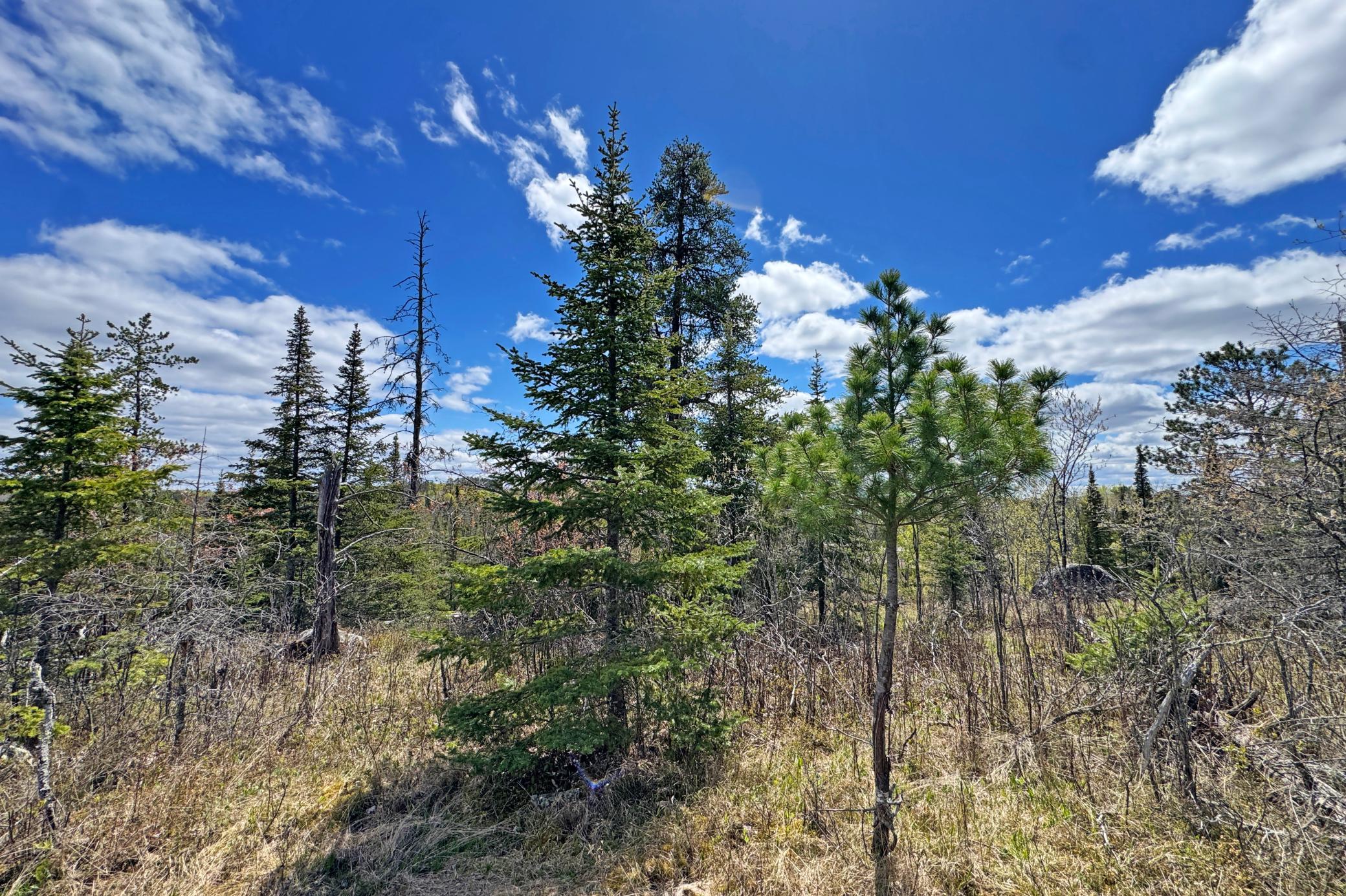 33-Lot-B-Land-18.JPG