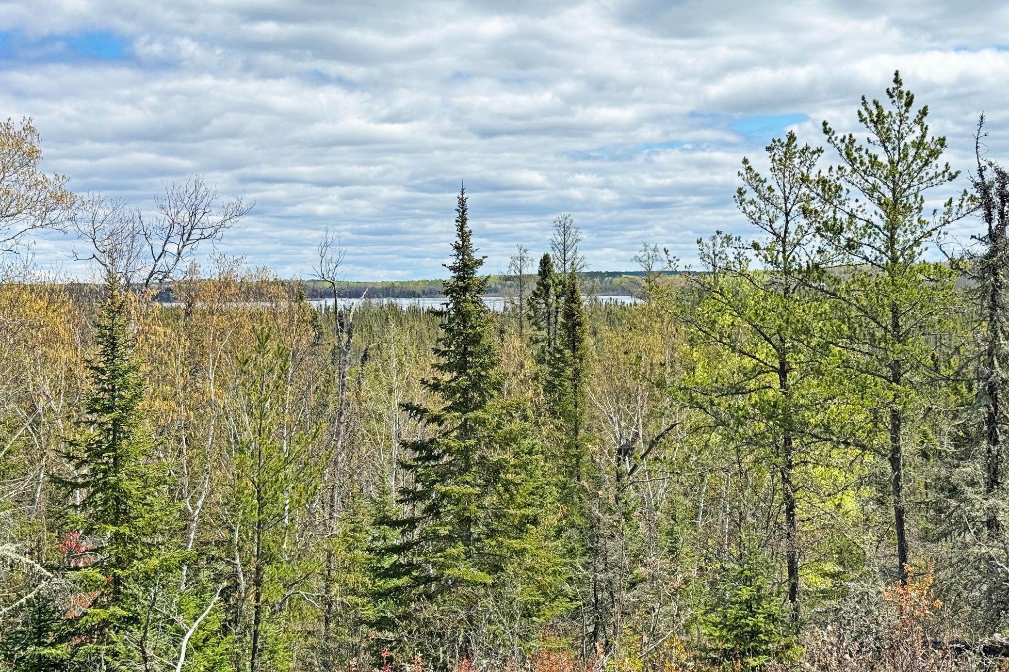 31-Lot-B-Land-16.JPG