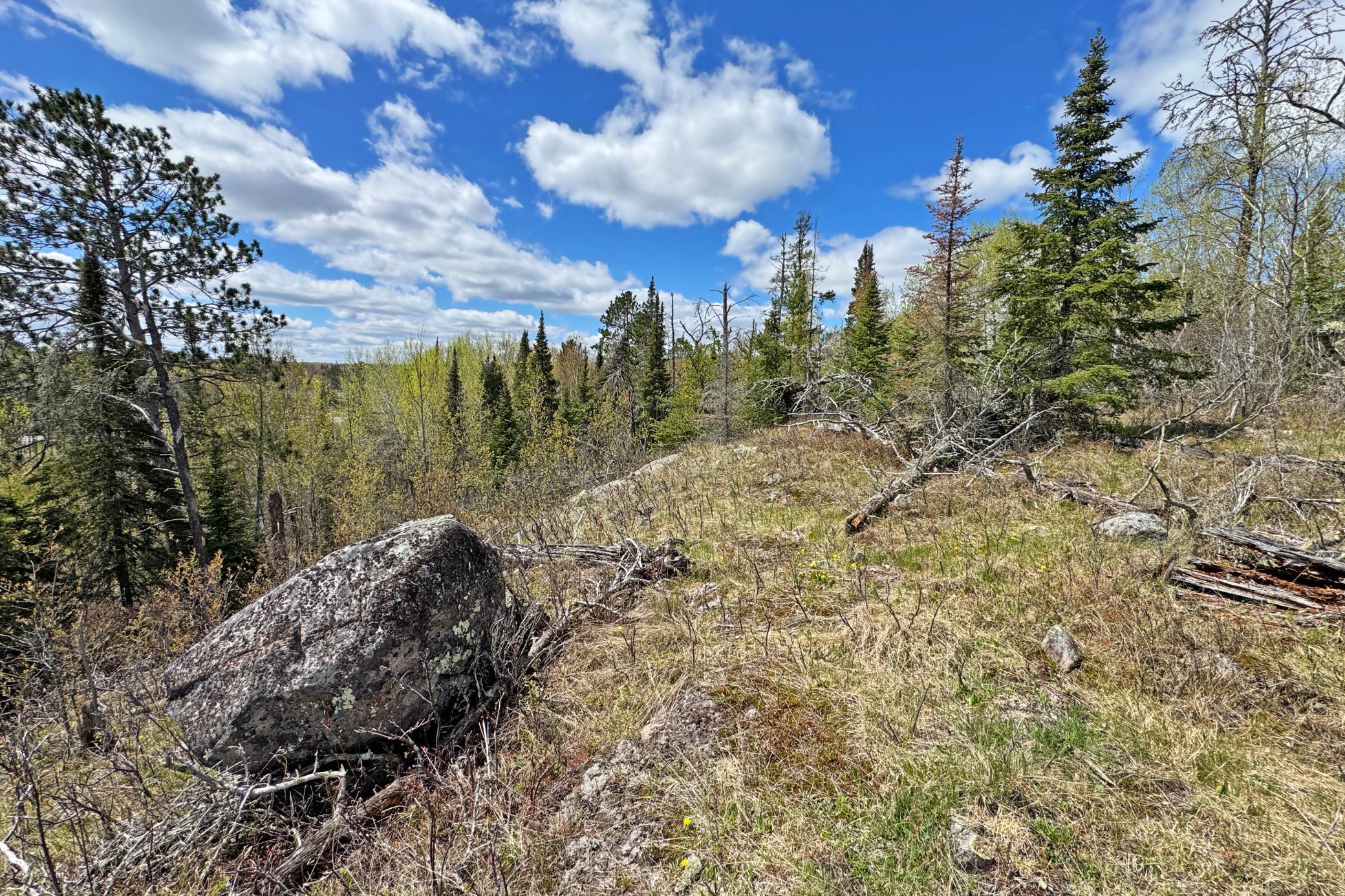 36-Lot-B-Land-21.JPG