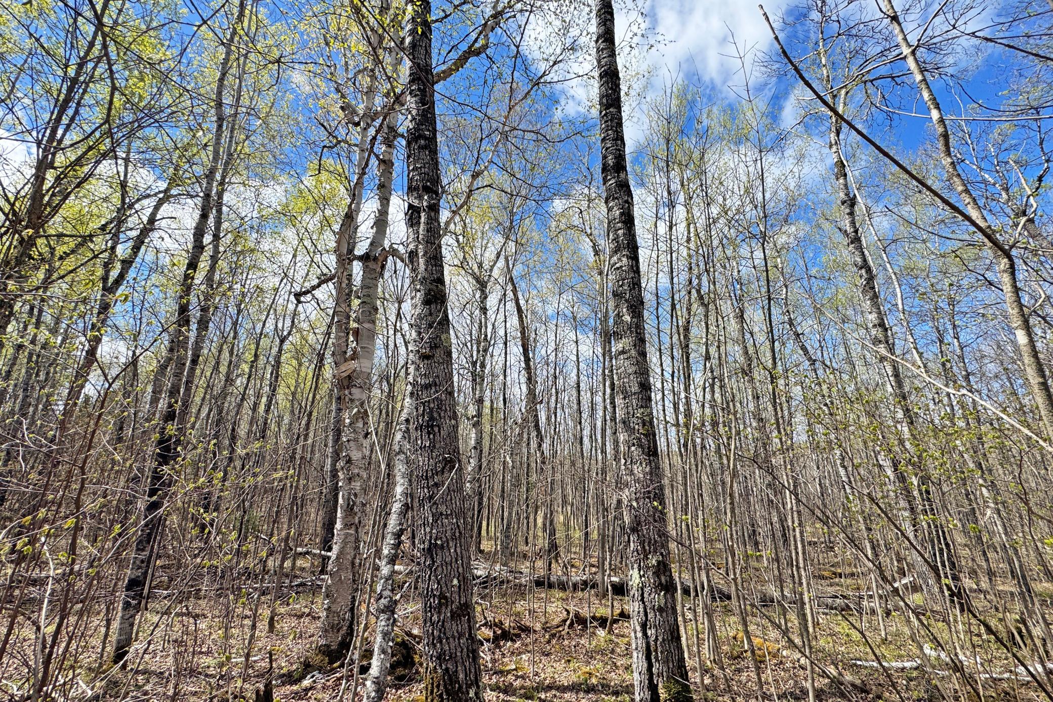 41-Lot-B-Land-26.JPG