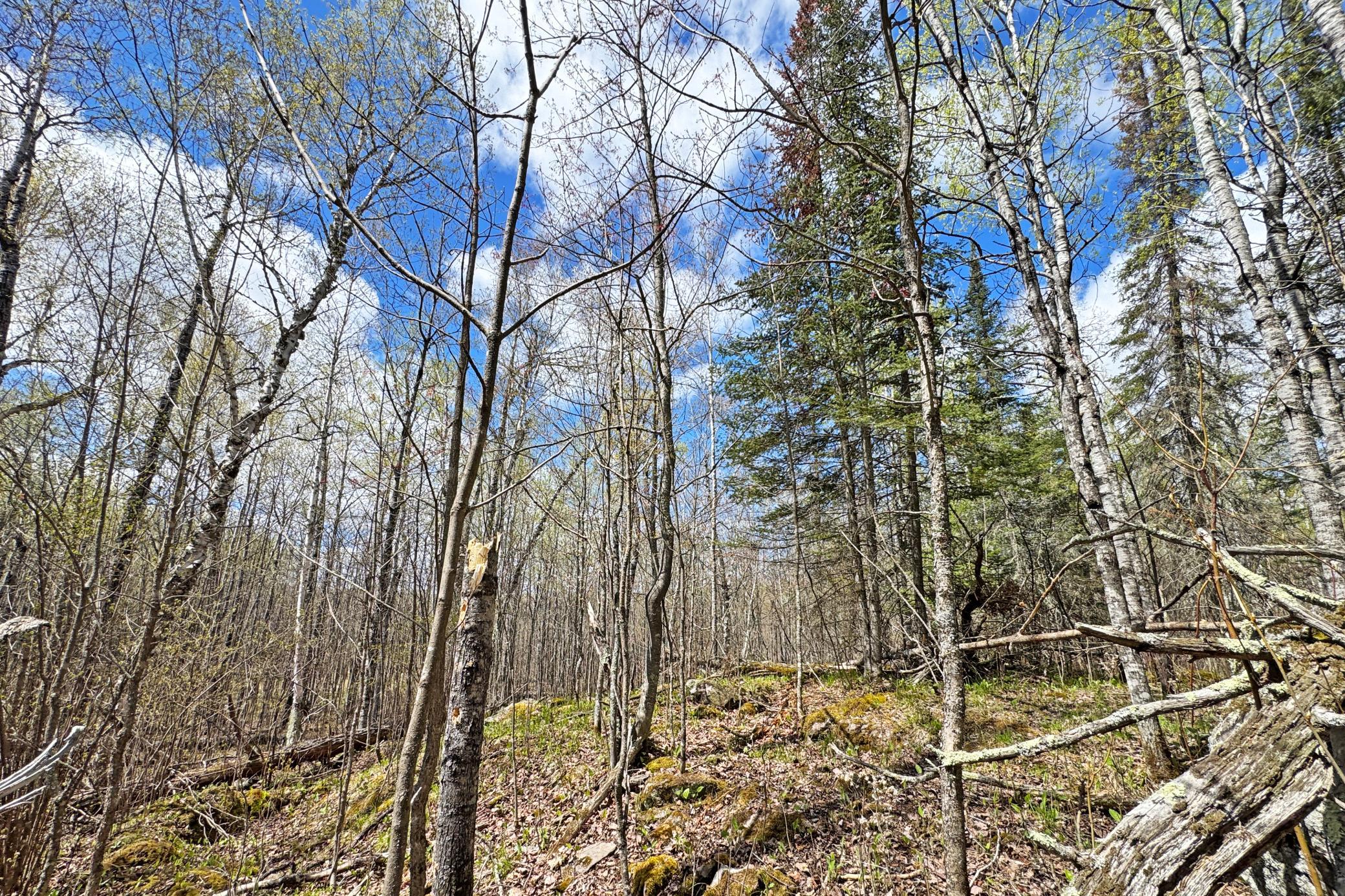 40-Lot-B-Land-25.JPG