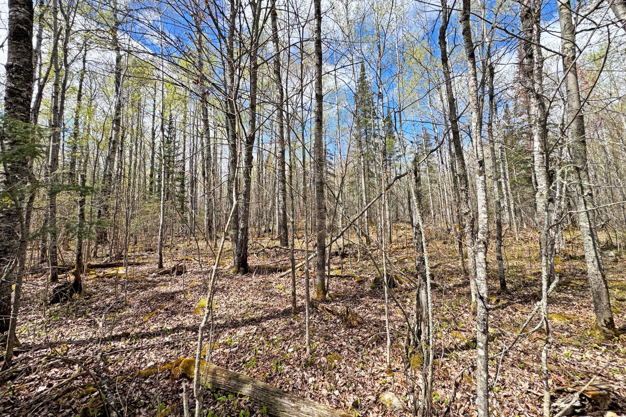 39-Lot-B-Land-24.JPG