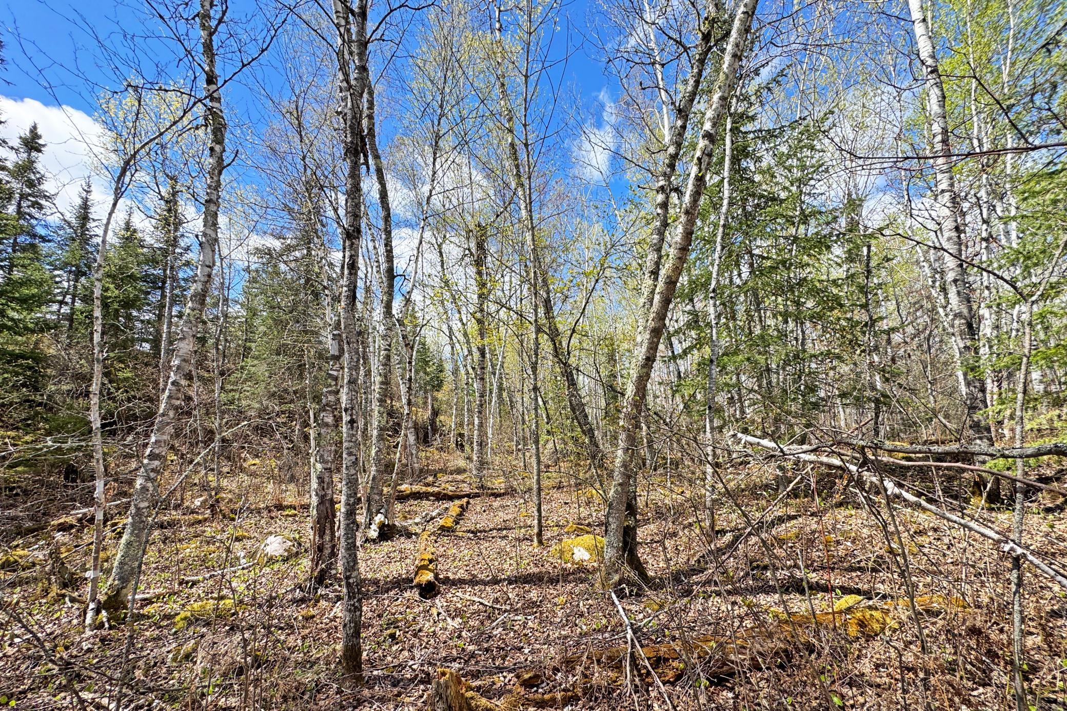 25-Lot-B-Land-10.JPG