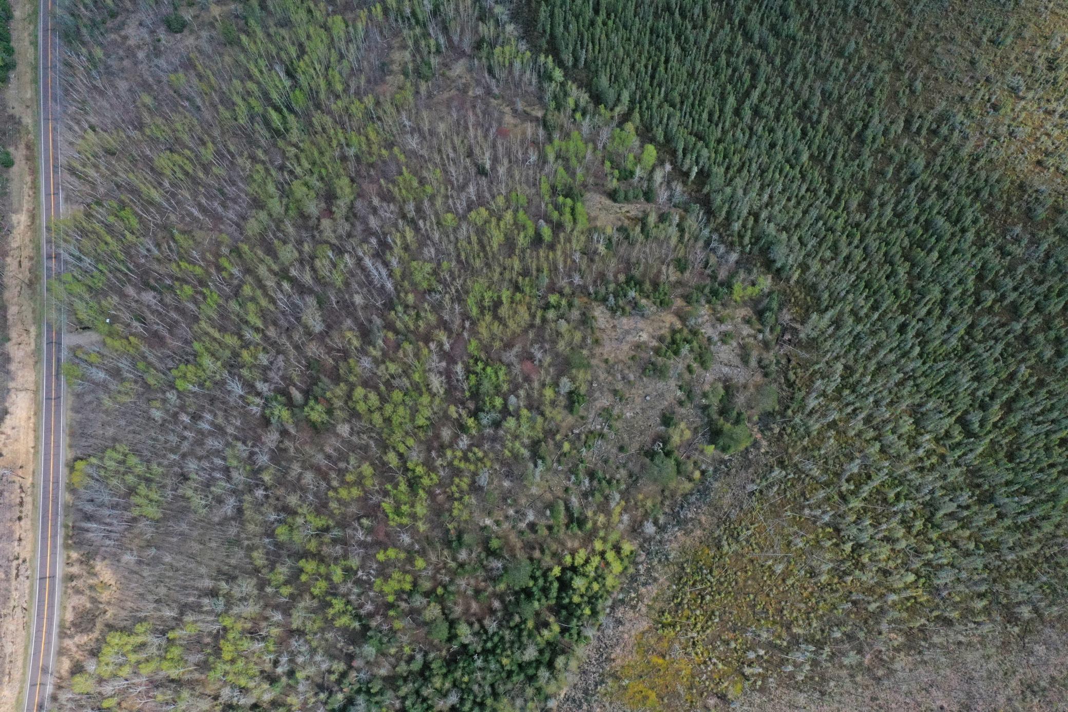 13-Lot-B-Aerials-13.JPG