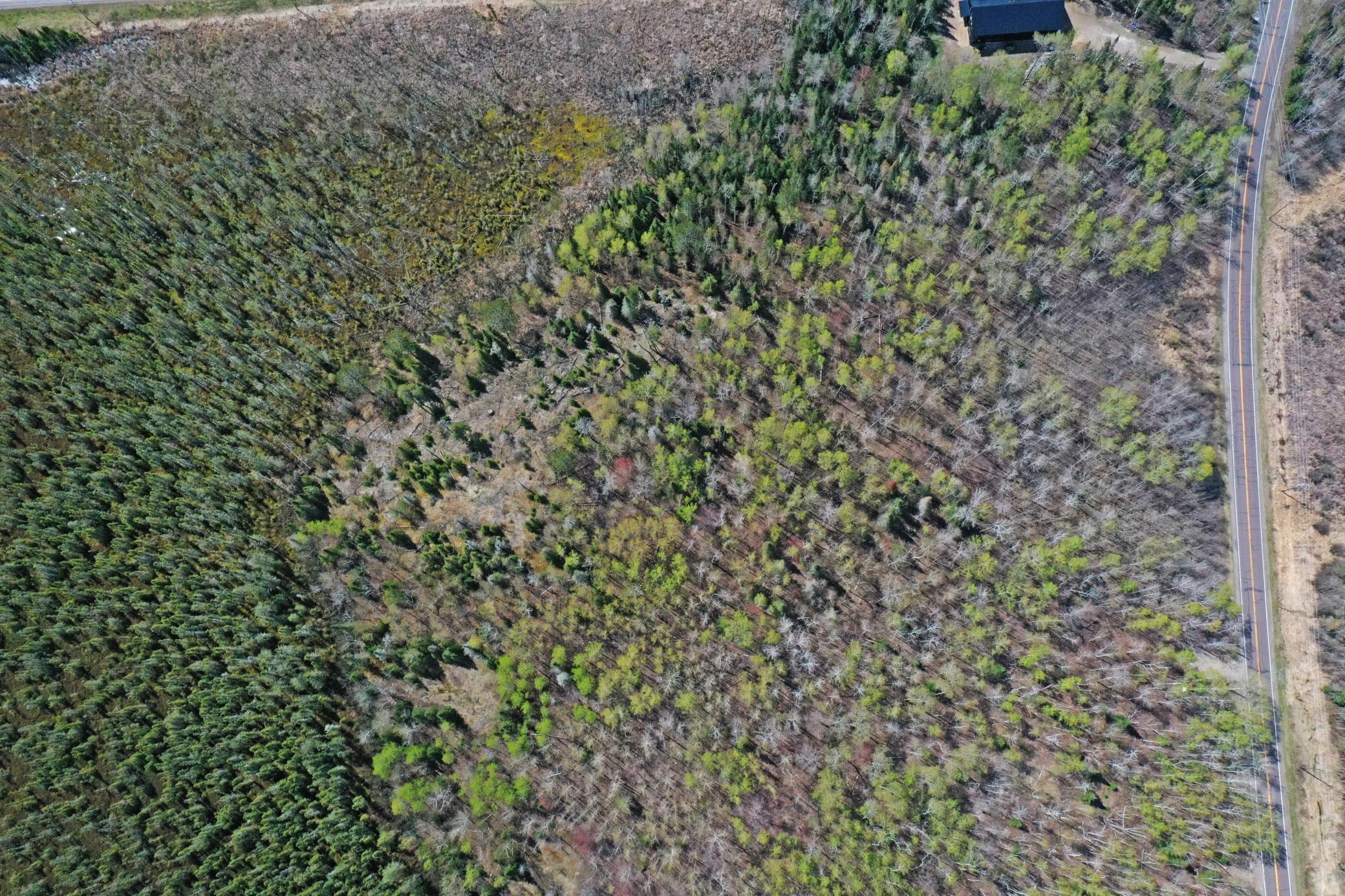 09-Lot-B-Aerials-09.JPG