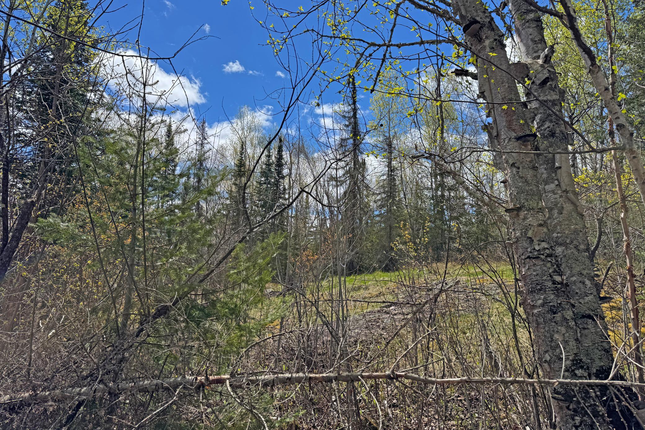 18-Lot-B-Land-03.JPG