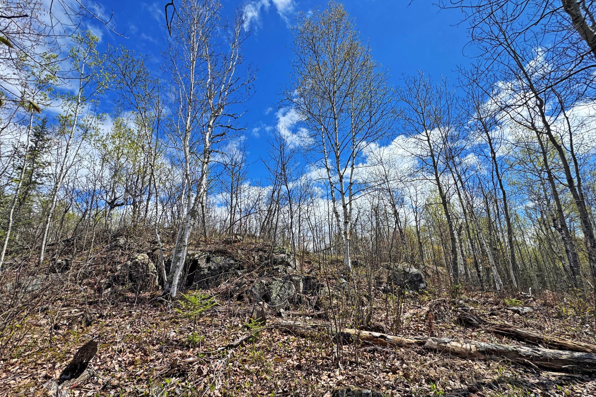 24-Lot-C-Land-02.JPG