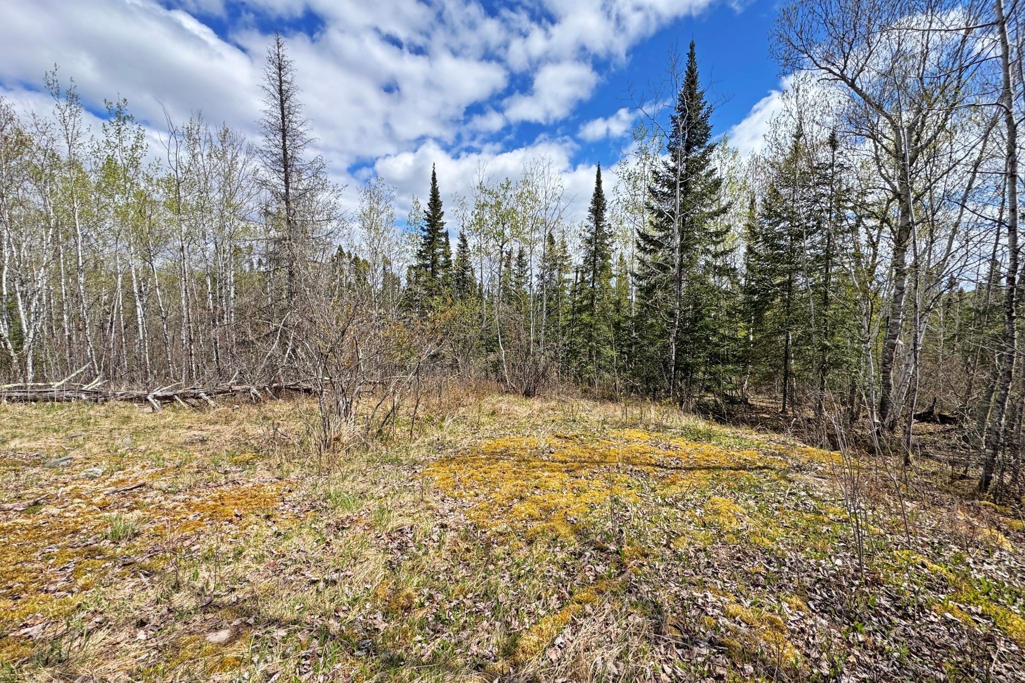 35-Lot-C-Land-13.JPG