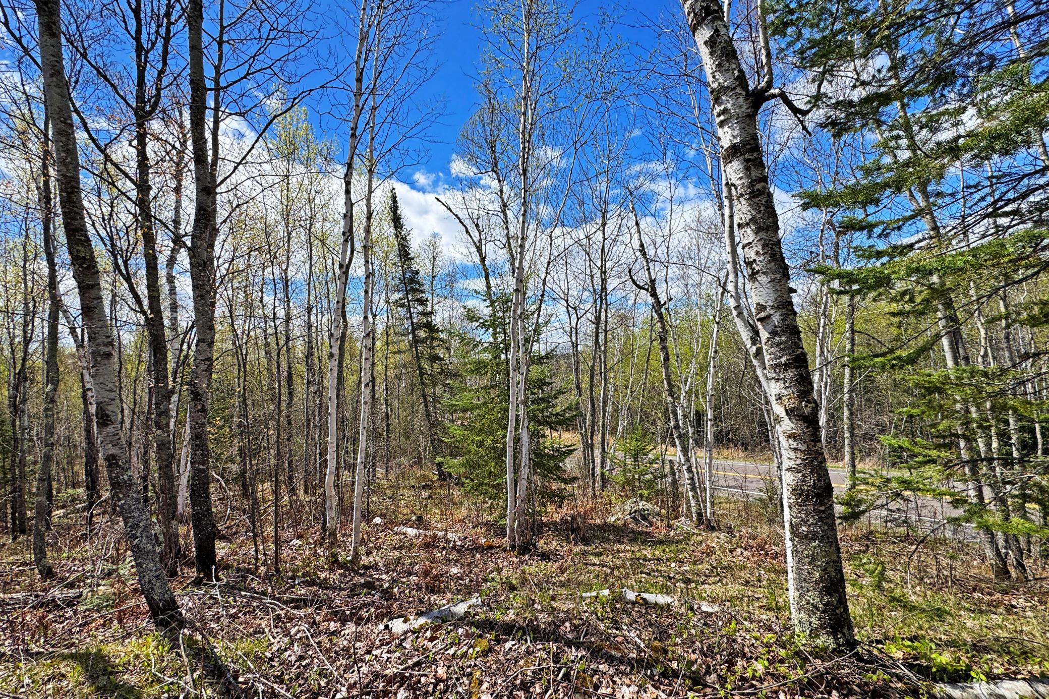 25-Lot-C-Land-03.JPG