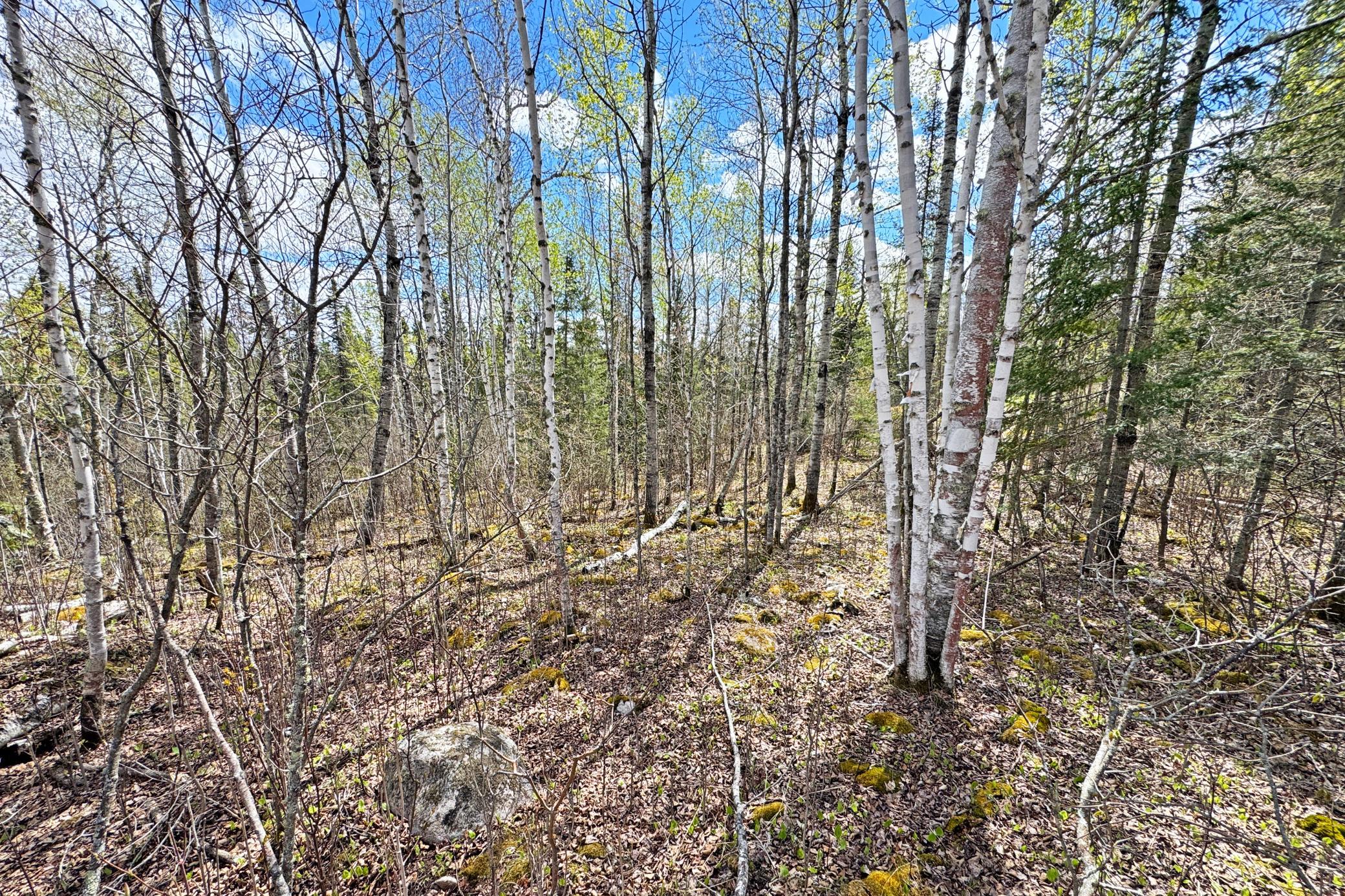 37-Lot-C-Land-15.JPG