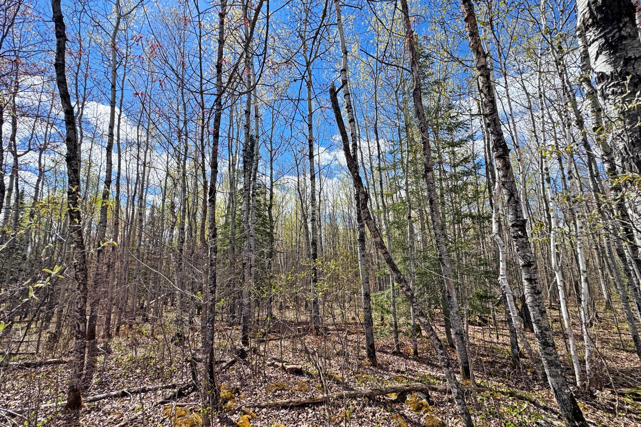 33-Lot-C-Land-11.JPG