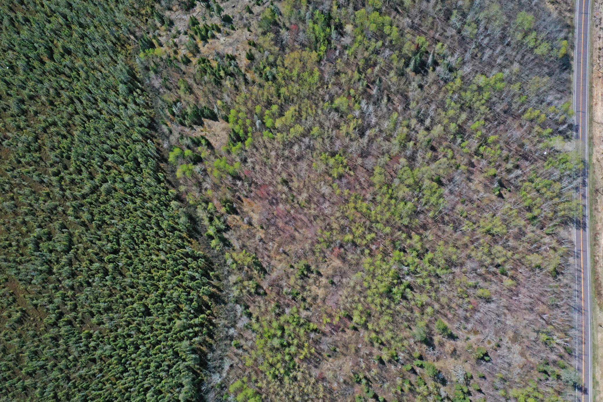 11-Lot-C-Aerials-11.JPG