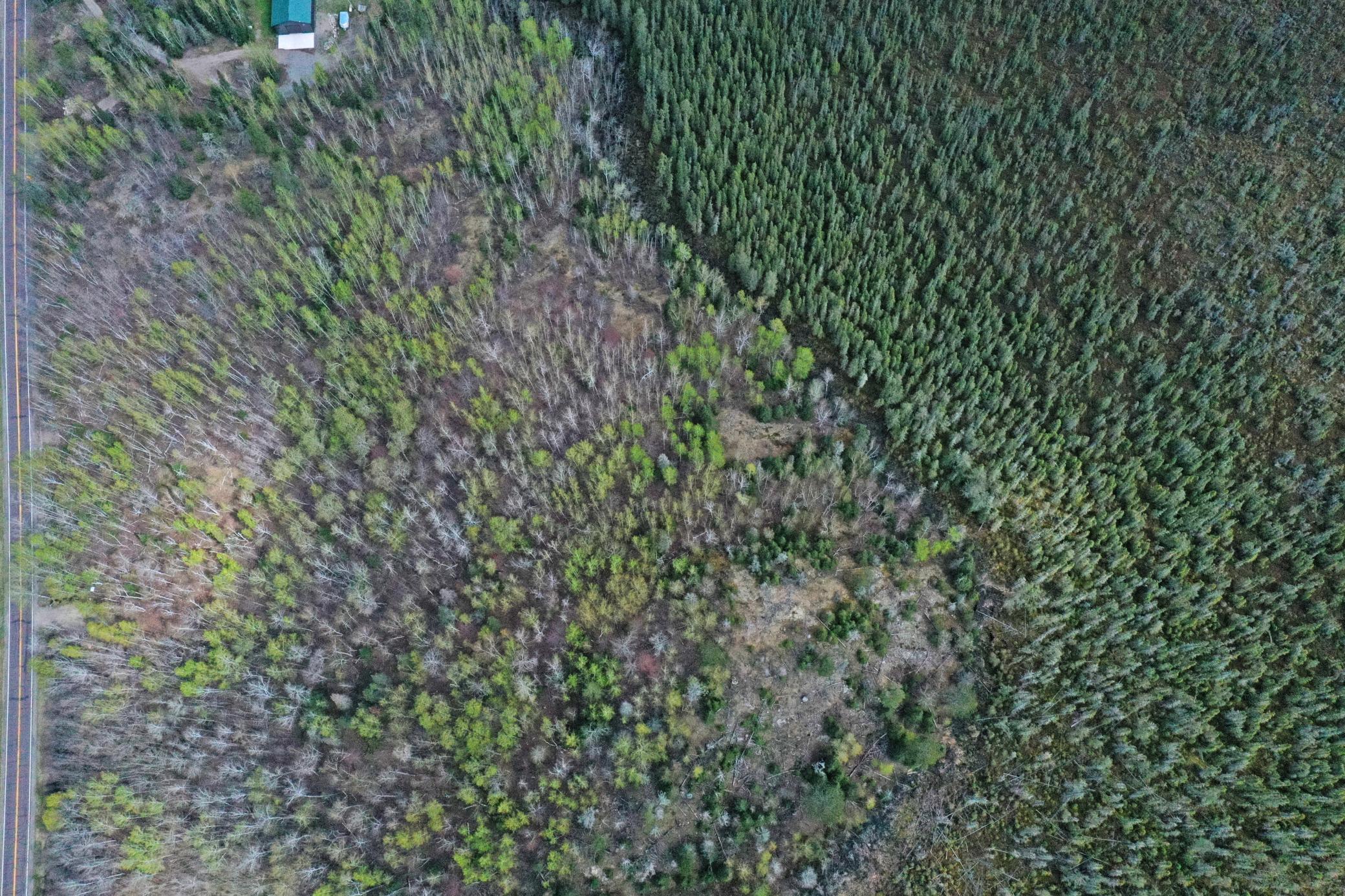 17-Lot-C-Aerials-17.JPG