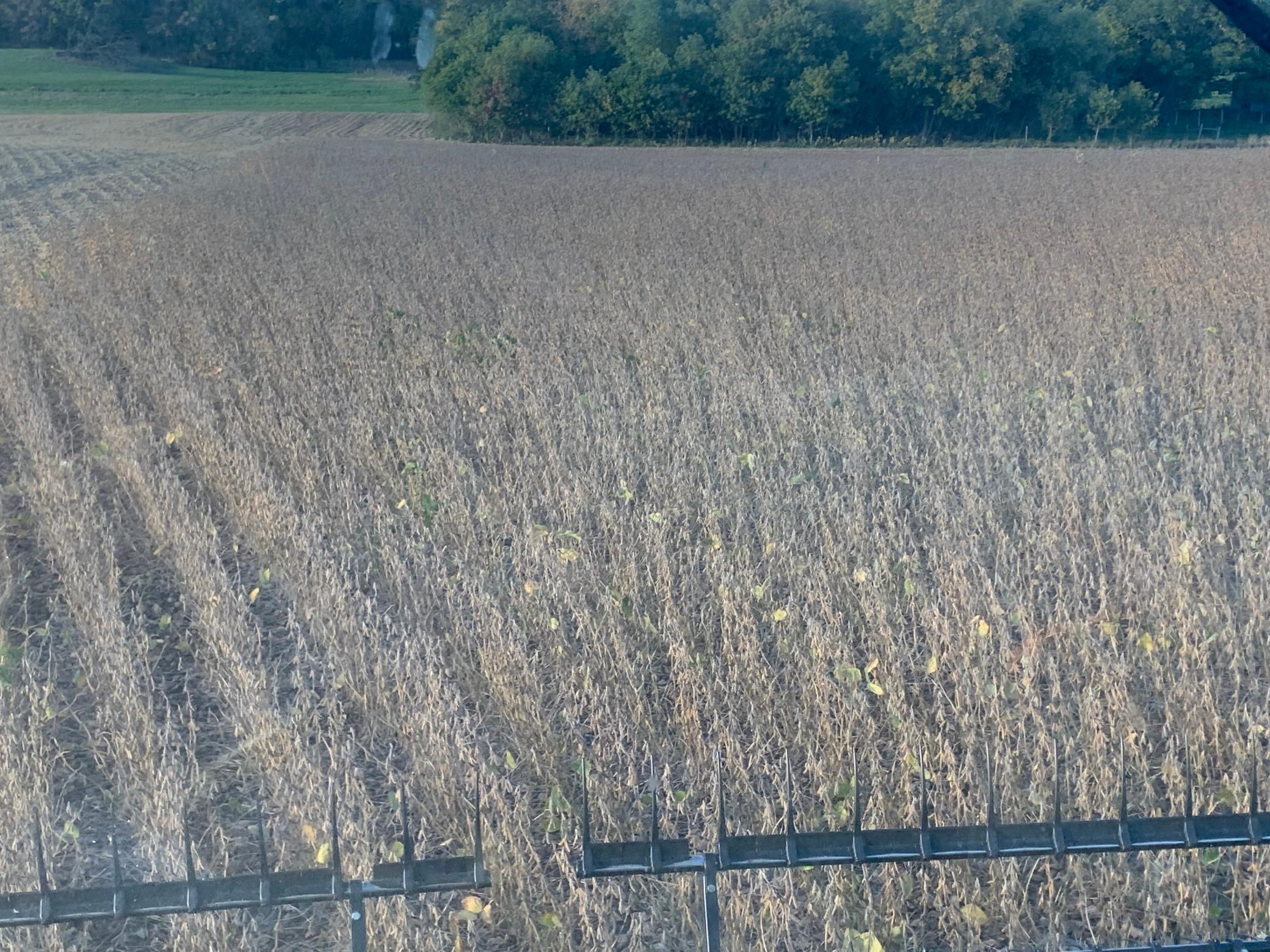 Farming