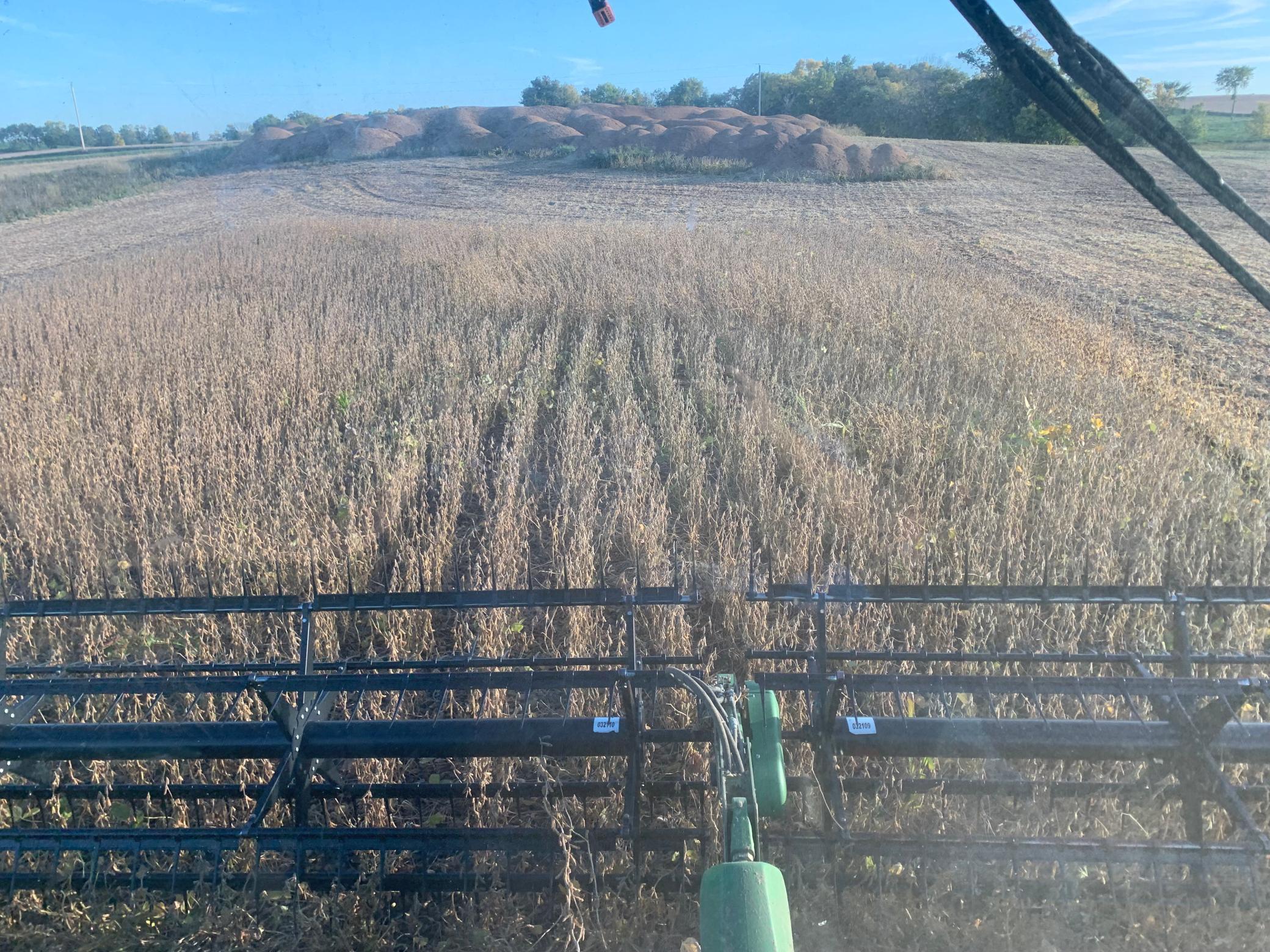 Farming
